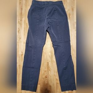 Everlane Stretchy Pants | Purple Pair